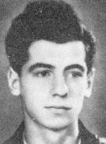 נתן גרינברג