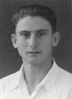 יעקב ציטרין