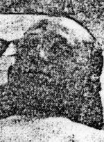 נתן ניגוריק