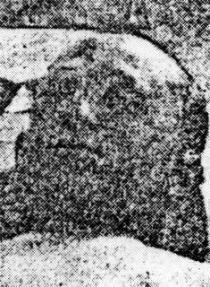 תמונת ניגוריק נתן ז"ל